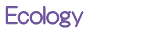 Ecology�@�G�R���W�[PC